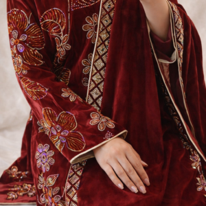 Intricate maroon velvet dress embroidery